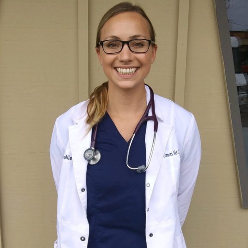 Dr. Ashley Wing